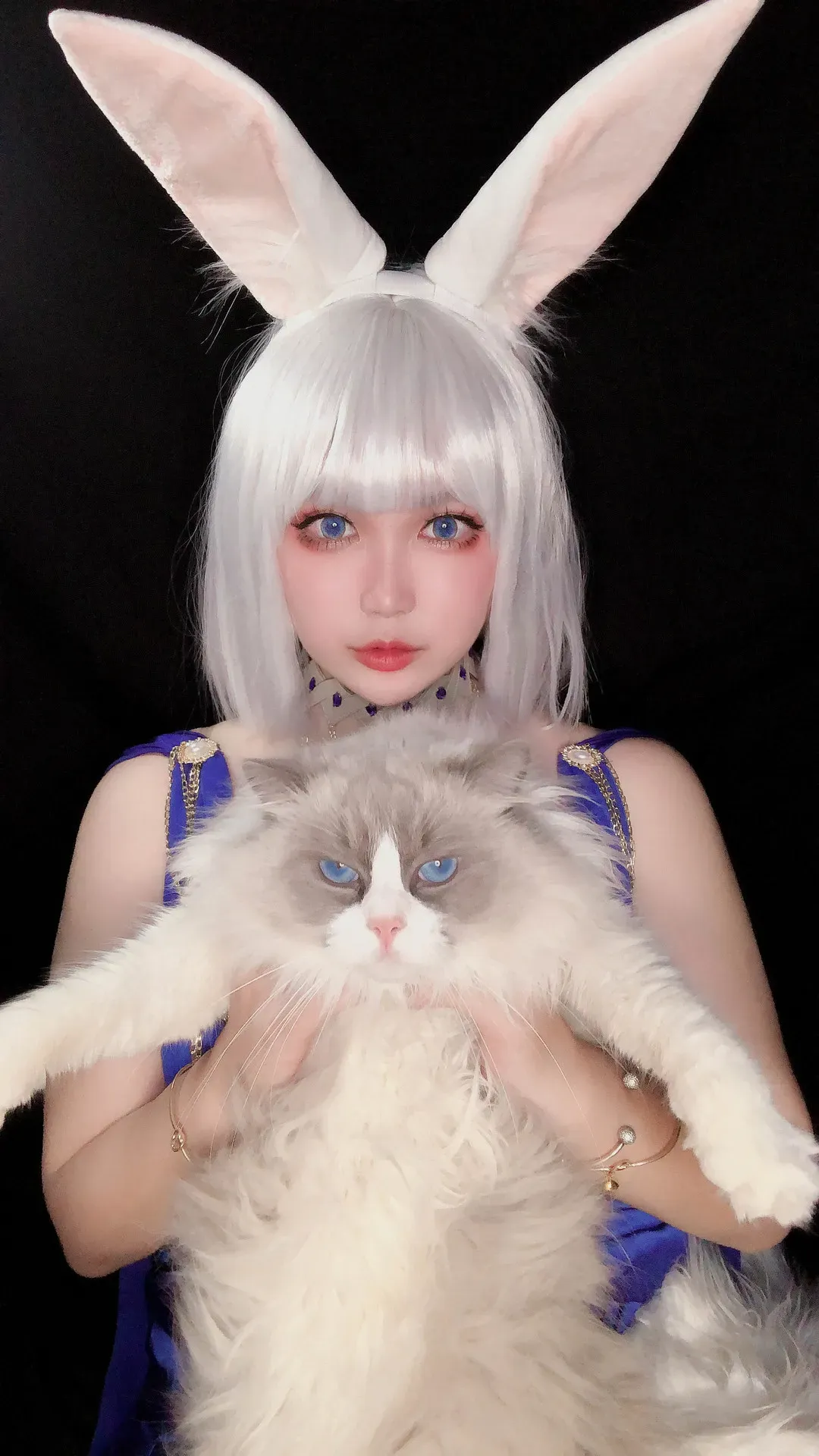 椒妮佐仁舰娘角色造型风格作品参考