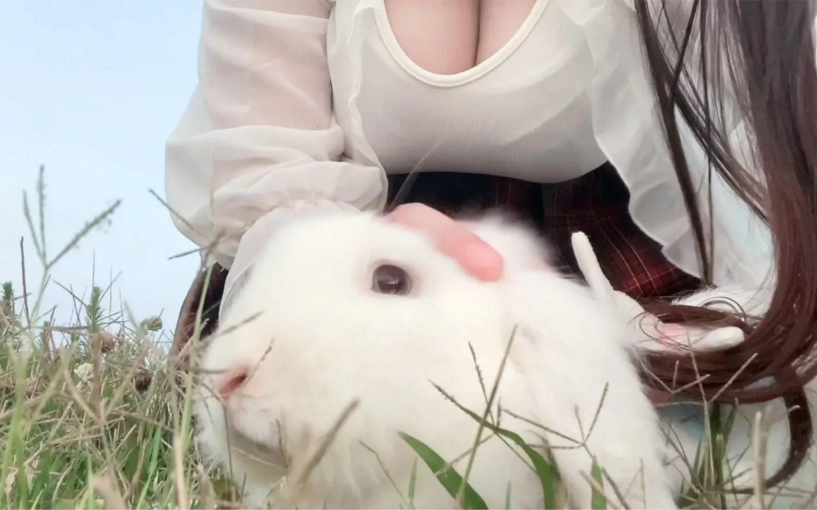 软月月舰长户外草地抚摸白色宠物兔场景